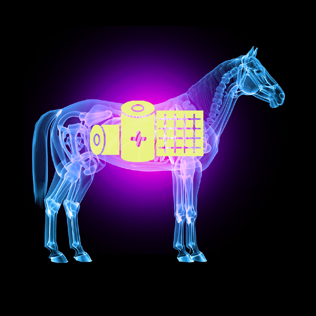 Veterinary Consumables